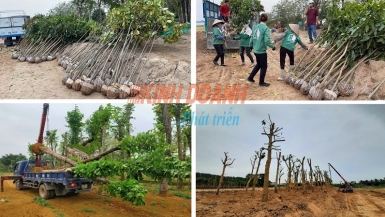 Phong trào trồng cây hưởng ứng chương trình “Trồng 1 tỷ cây xanh – Vì một Việt Nam xanh”