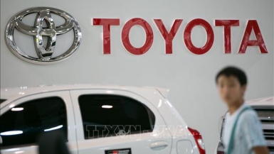 Toyota Việt Nam triệu hồi 166 xe Corolla Altis do lỗi bơm xăng
