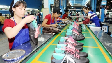 Xuất khẩu da giày tăng: Chỉ là bề nổi