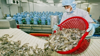 Hoa Kỳ là thị trường xuất khẩu nông, lâm, thủy sản lớn nhất của Việt Nam
