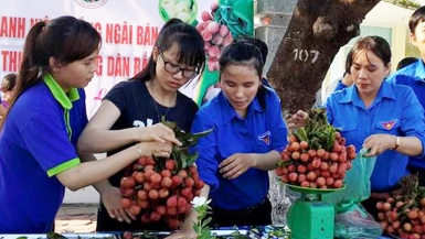 Sắp vào mùa vải: Lo trước, liệu có vui sau?