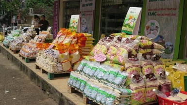 Hapro đẩy mạnh tiêu thụ gạo Đồng Tháp ở thị trường nội địa
