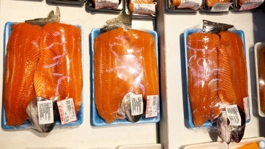 Đưa cá hồi Sapa đến với người tiêu dùng Thủ đô