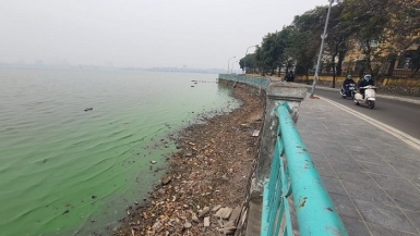 Bộ TN&MT đề nghị Hà Nội thực hiện ngay biện pháp cải thiện môi trường nước hồ Tây