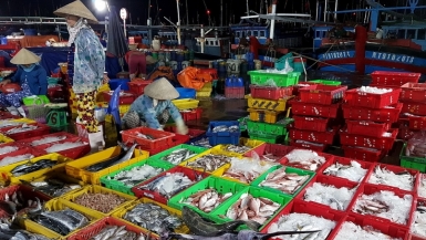 Nông dân phấn khởi khi giá nhiều loại hải sản tăng cao