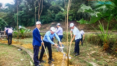 Các doanh nhân, nhà quản lý trồng hàng trăm cây xanh tại Đền Hùng