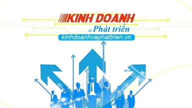 Phát triển tài sản trí tuệ: Đặt doanh nghiệp vào vị trí trung tâm