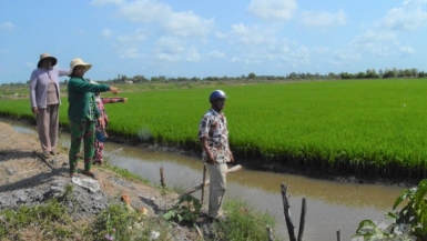 Cảnh báo nhiều thủ đoạn tạo ‘sốt đất’ nhằm trục lợi tại vùng nông thôn ở Đà Nẵng