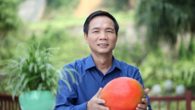 Bác sỹ , doanh nhân Nguyễn Công Suất – Anh bộ đội cụ Hồ và tâm huyết với quả gấc Việt