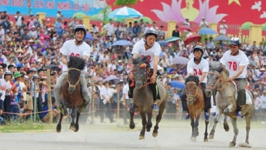 Festival “Vó ngựa cao nguyên trắng Bắc Hà”