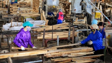 Ngành chế biến gỗ: Thay đổi chiến lược để thích ứng
