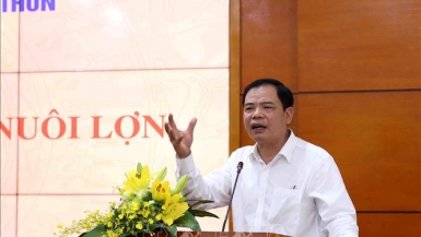 Bộ trưởng Nguyễn Xuân Cường: Tái đàn lợn nhanh nhưng phải cẩn trọng, an toàn