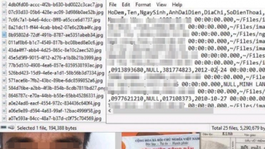 Sự vụ hacker rao bán 17GB thông tin cá nhân của người Việt Nam và những lời khuyên từ NCSC