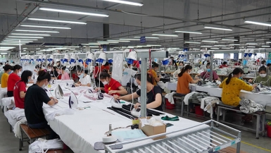 Quảng Bình: Các doanh nghiệp tăng trưởng, hồi phục sản xuất sau đại dịch Covid-19