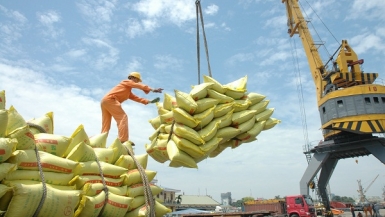 Kim ngạch xuất khẩu của Hà Nội đạt hơn 1 tỷ USD