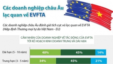 Doanh nghiệp châu Âu lạc quan về EVFTA