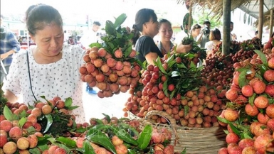 Hiệp định EVFTA: Nâng cao chuỗi giá trị gia tăng nông sản Việt