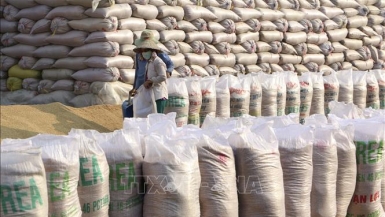Đã mua và nhập kho 83,5% lượng gạo dự trữ
