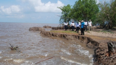Cà Mau xây dựng kế hoạch ứng phó với biến đổi khí hậu đến năm 2050