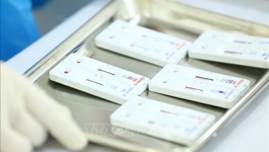Hướng dẫn thanh toán chi phí thực hiện xét nghiệm Covid-19