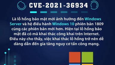 Cảnh báo lỗ hổng mới trong Window Server 2019 và Window 10