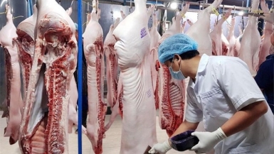 Phó Thủ tướng yêu cầu có ngay biện pháp bình ổn giá thịt lợn