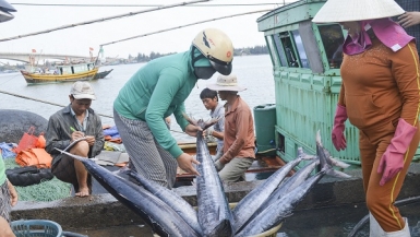 Quảng Trị tạo động lực cho ngư dân khai thác xa bờ