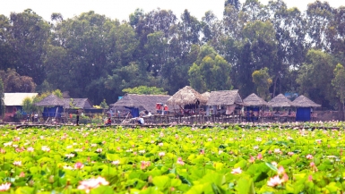 Đồng Tháp: Tiềm năng phát triển đa dạng du lịch sinh thái nông nghiệp