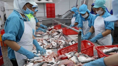 1000 doanh nghiệp tại ĐBSCL giải thể do ảnh hưởng dịch Covid-19