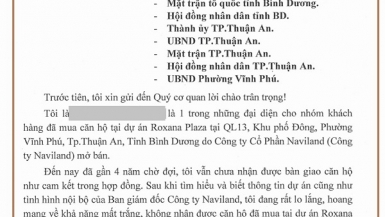 Dự án Roxana Plaza: Thanh toán xong 70% tiền mua nhà, khách hàng vẫn không biết chủ đầu tư là ai?