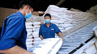 Nhà nhập khẩu ‘mách nước’ cho nông sản Việt bám chắc thị trường quốc tế