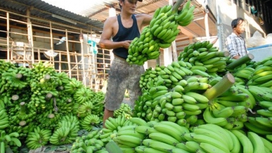 Nông sản dư thừa, giá giảm sâu