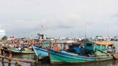 Cà Mau: Tín hiệu sáng trong vấn đề tháo gỡ thẻ vàng EC