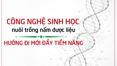 Công nghệ sinh học nuôi trồng nấm dược liệu – hướng đi đầy tiềm năng