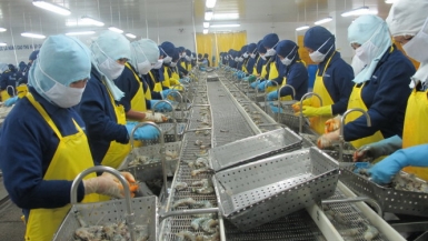 Đồng bằng sông Cửu Long: Giải quyết vấn đề thiếu lao động cho ngành chế biến thủy sản