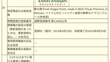 Thanh long Bình Thuận chính thức được bảo hộ chỉ dẫn địa lý tại Nhật Bản