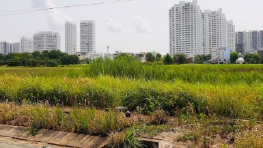 Tin nóng bất động sản tuần qua: Loạt dự án ‘ôm đất’ bỏ hoang tại Hà Nội vào tầm ngắm thu hồi