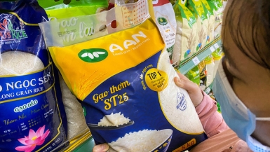 Gạo ST25 và nhiều nông sản, thủy sản Việt Nam bị cảnh báo khi xuất khẩu vào châu Âu