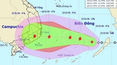 Họp khẩn ứng phó với bão số 9 dự kiến gây mưa lớn ở khu vực phía Nam