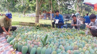 Trước thềm chất vấn, Bộ trưởng Nguyễn Xuân Cường nói gì về mở cửa thị trường, liên kết chuỗi