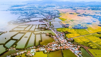 Phó Thủ tướng phê duyệt Đồ án Quy hoạch tình Bình Định