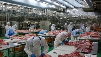 Thị trường cần khoảng 600.000 tấn thịt lợn