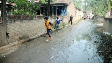 Tam Dương (Vĩnh Phúc): Người dân kêu cứu vì ô nhiễm môi trường do trang trại lợn