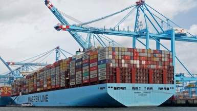 Cục Hàng hải: Hãng tàu container phải minh bạch giá cước vận chuyển
