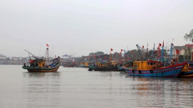 Nghệ An: Dành 2.400 tỷ đồng để nâng cấp cảng cá, dịch vụ hậu cần nghề cá