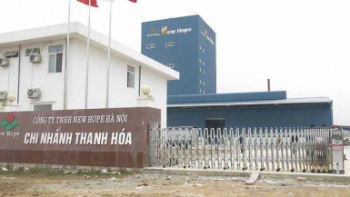 Thanh Hoá: 2 doanh nghiệp sản xuất thức ăn chăn nuôi bị xử phạt hàng trăm triệu đồng
