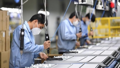Thanh Hóa quyết tâm hoàn thành điều tra doanh nghiệp 2025 đúng tiến độ