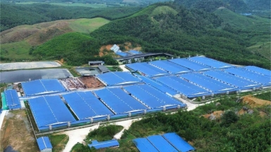 Trang trại nuôi heo công nghệ cao tại Thanh Hóa bị 'tuýt còi' vì xả mùi hôi thối