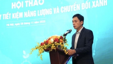 Định hình tiến trình chuyển đổi xanh và năng lượng bền vững cho Việt Nam