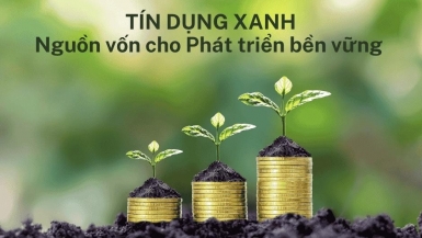 Đẩy mạnh hỗ trợ doanh nghiệp tiếp cận vốn tín dụng xanh